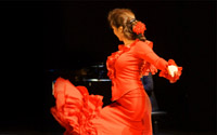Flamenco-Shows 200 Flamenco-Shows 200
