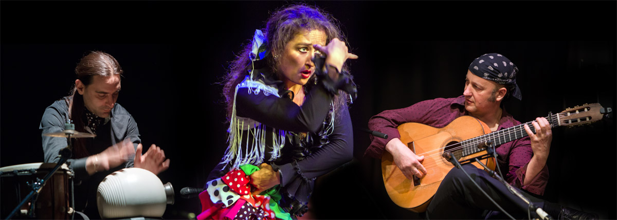 Compañia Flamenca zum Palaissommer